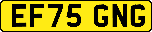EF75GNG