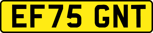 EF75GNT