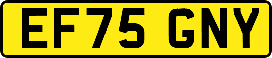 EF75GNY