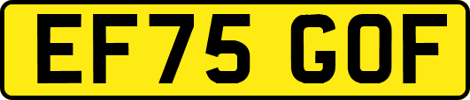 EF75GOF