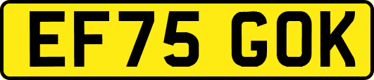 EF75GOK