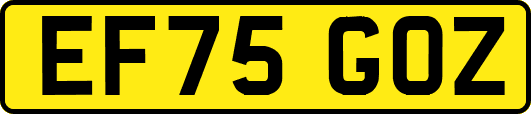 EF75GOZ