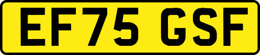 EF75GSF