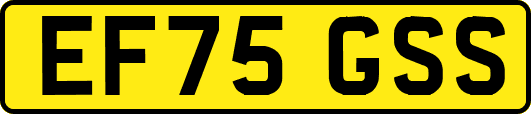 EF75GSS