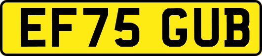 EF75GUB