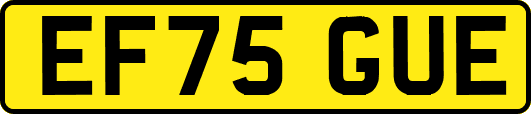 EF75GUE