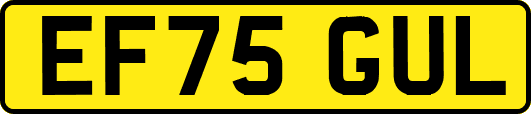 EF75GUL
