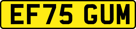EF75GUM