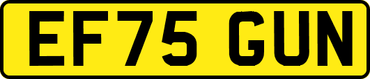 EF75GUN