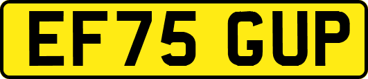 EF75GUP