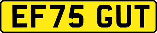EF75GUT