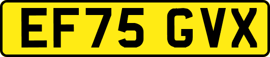 EF75GVX