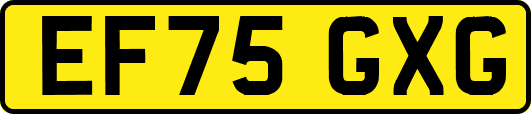 EF75GXG