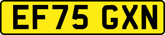 EF75GXN