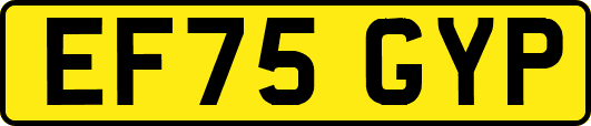EF75GYP
