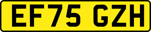 EF75GZH