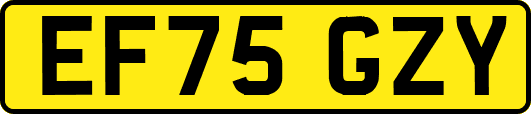 EF75GZY