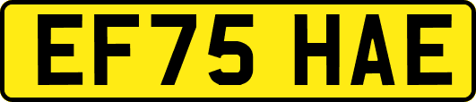 EF75HAE