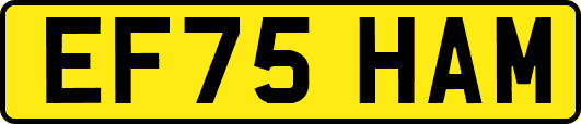 EF75HAM