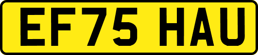 EF75HAU