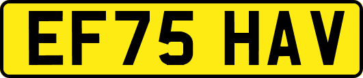 EF75HAV