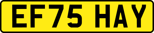 EF75HAY