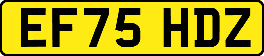 EF75HDZ