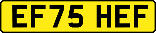 EF75HEF