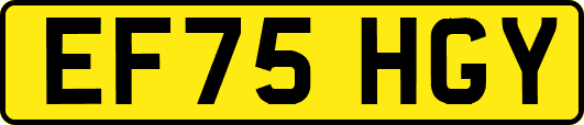 EF75HGY