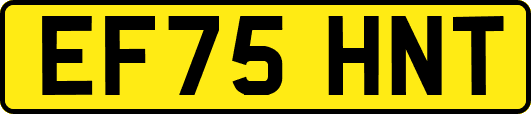 EF75HNT