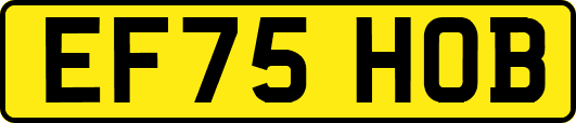 EF75HOB