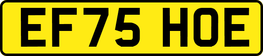 EF75HOE