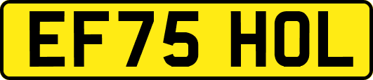 EF75HOL
