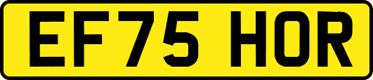 EF75HOR