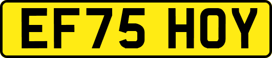 EF75HOY