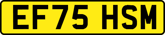 EF75HSM