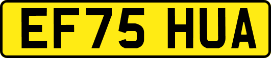 EF75HUA