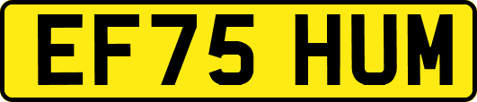 EF75HUM