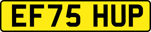 EF75HUP