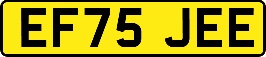 EF75JEE