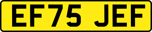 EF75JEF