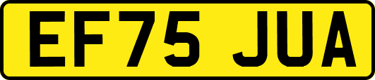 EF75JUA