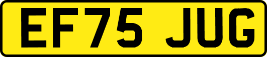 EF75JUG