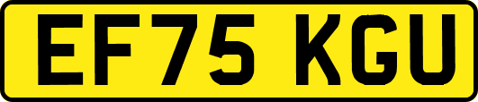 EF75KGU