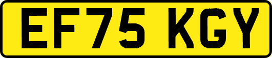 EF75KGY