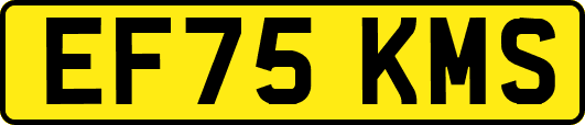 EF75KMS