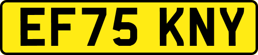 EF75KNY