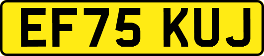 EF75KUJ