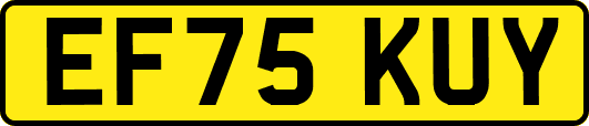 EF75KUY