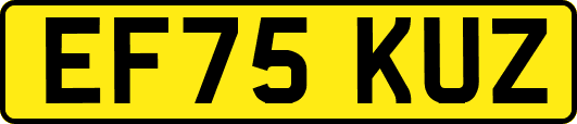 EF75KUZ